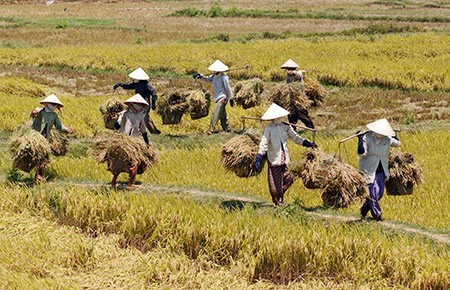 Hotspot Matrix và Bạn đang sống trong năm thế giới số 9: Năm của sự phơi bày, thanh lọc