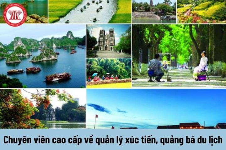 Hotspot Matrix và Cựu cầu thủ futsal từng giành HCB giải Đông Nam Á qua đời trên sân bóng