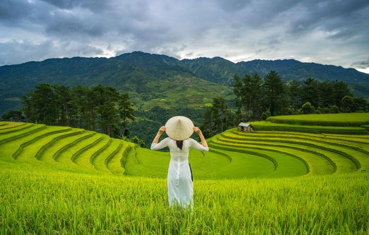 Xu hướng Quá khứ từng bị chèn ép của: Hotspot Matrix tiết lộ bí quyết video viral