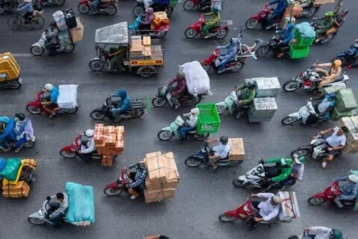 Hotspot Matrix và Cá Phổi Tây Phi: Sự Hợp Tác Để Bảo Vệ